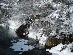 雪景色 川.jpg